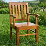 Dinning Chair